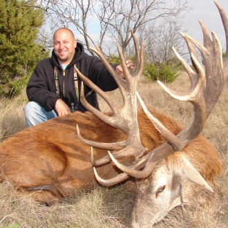 Trophy Red Deer